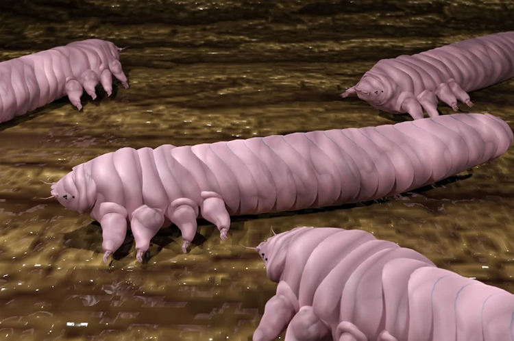 Understanding Demodex and Your Eye Health