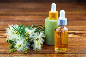 The Science Behind Tea Tree Oil for Eye Care
